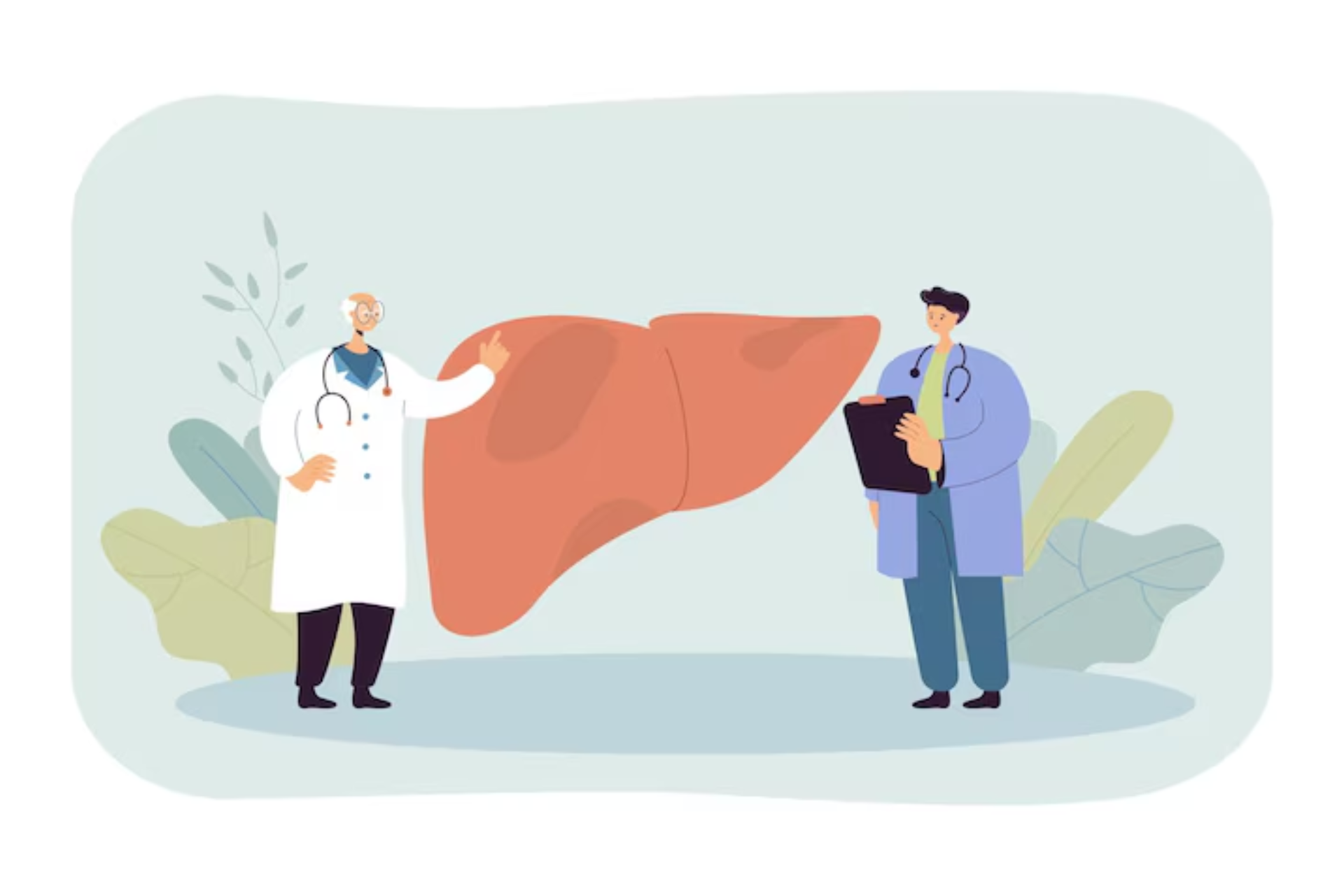 Liver Transplant Cost in India